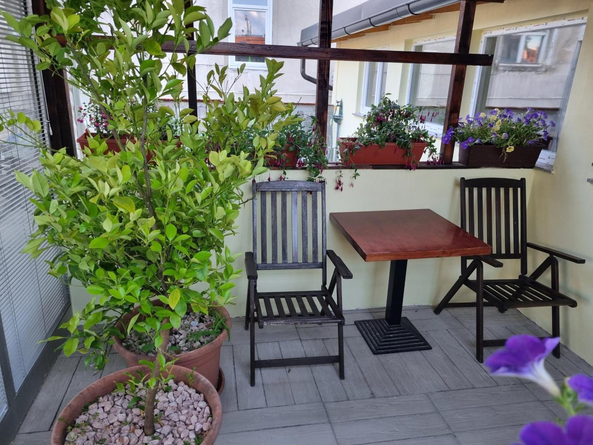 Apartments Fazarinc S Parkiriscem 采列 外观 照片
